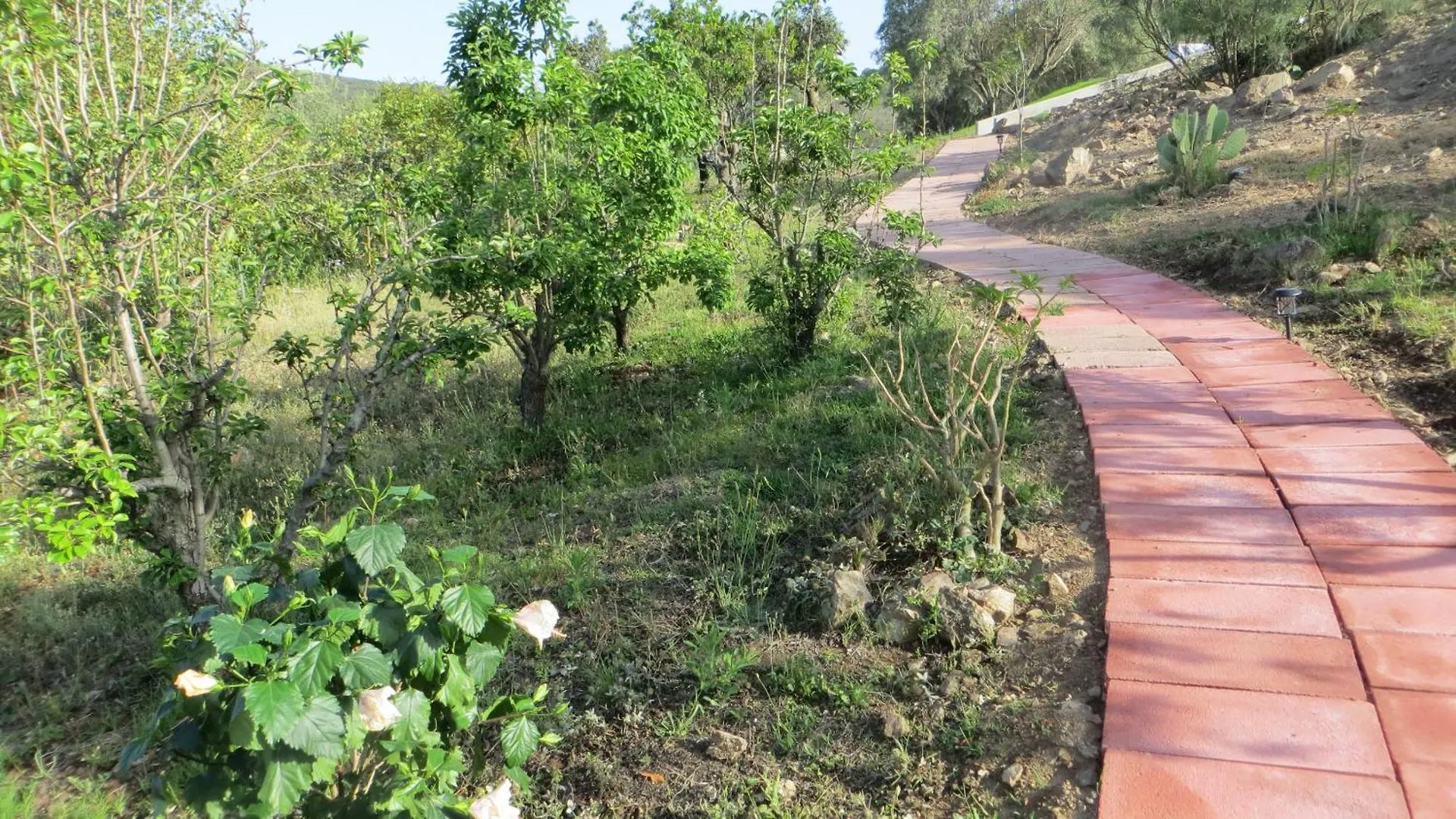 La Calendula Bed & Breakfast San Teodoro  İtalya