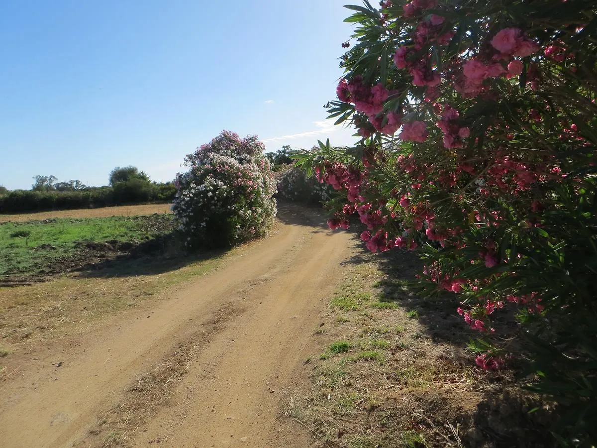 La Calendula Bed & Breakfast San Teodoro