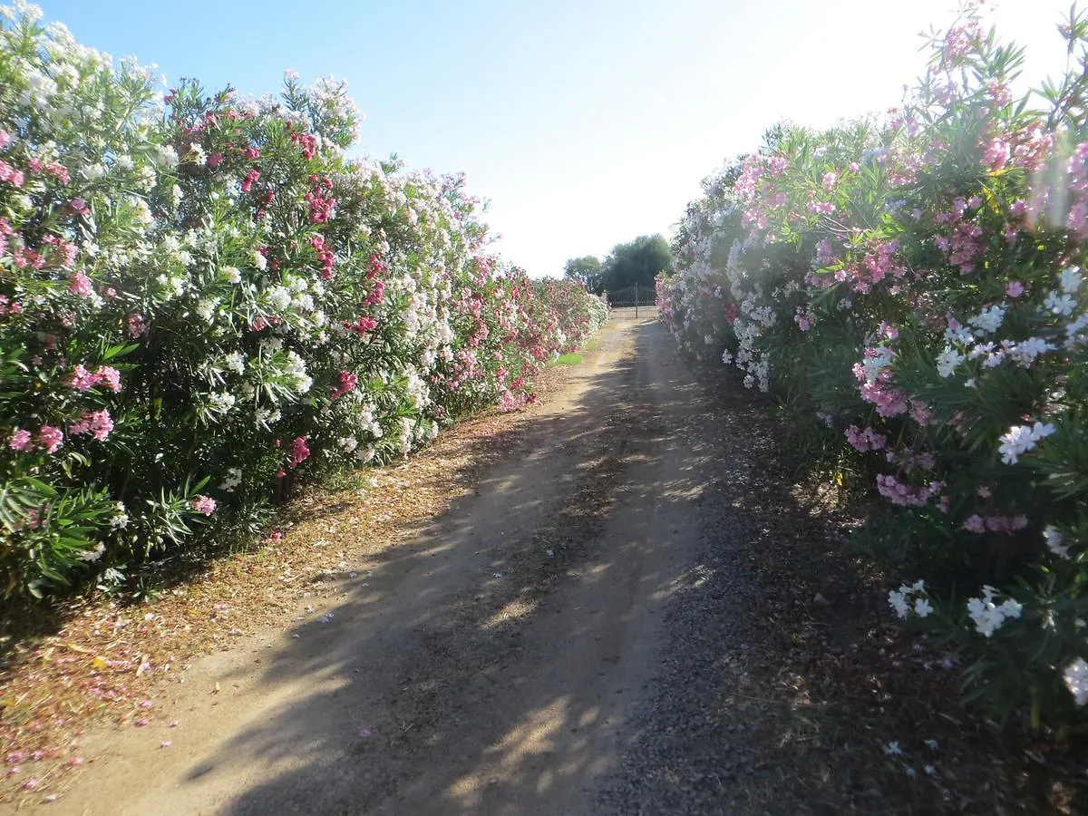 La Calendula Bed & Breakfast San Teodoro  İtalya